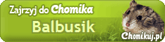 Chomik Balbusik