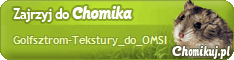 [Obrazek: Golfsztrom-Tekstury_do_OMSI.gif]