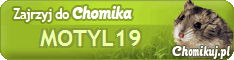 profil Chomika = .:: MOTYL19 ::.