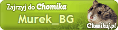 Chomik Murek_bg