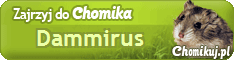 Chomik Dammirus