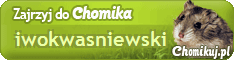 iwokwasniewski.gif