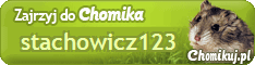 STACHOWICZ123