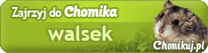 profil Chomika = .:: walsek ::.