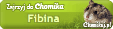 Fibina.gif
