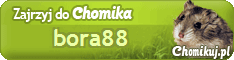 bora88.gif