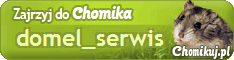 domel_serwis.gif